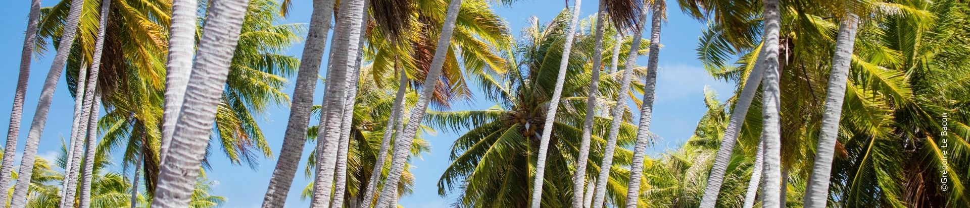 Polynesie_Française