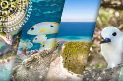 Air Tahiti et l'environnement